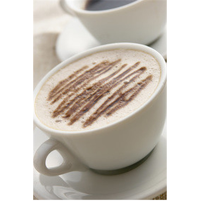 Protéines de régime boisson cappuccino 400 grammes