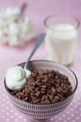Muesli Chocolat crunchy hyperprotéiné Pharmapar VL62